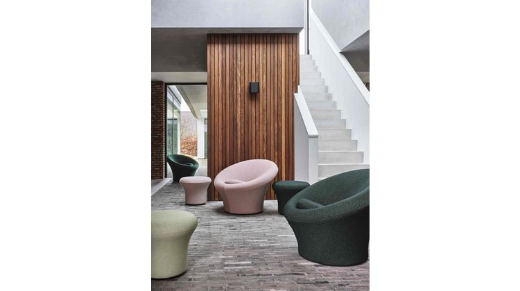 Artifort Big Mushroom Fauteuil