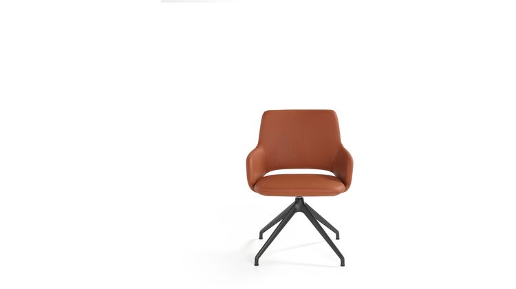 Artifort Jima Eetkamerstoel