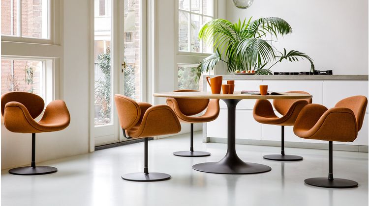 Artifort Little Tulip Eetkamerstoel