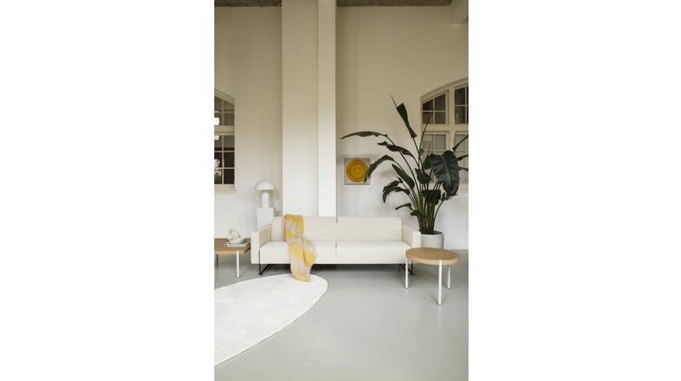 Artifort Mare Zitbank