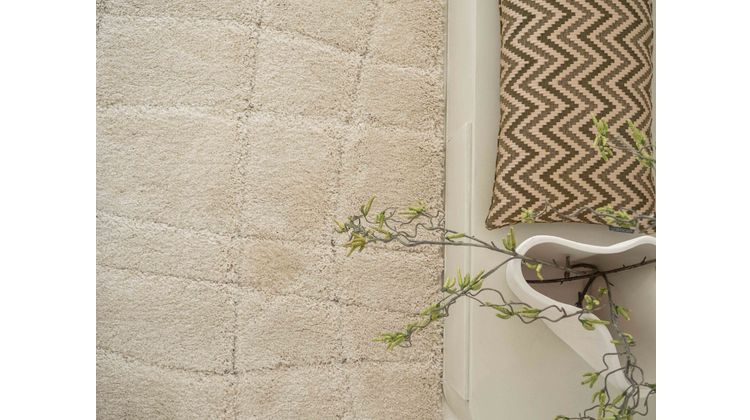 Brinker Carpets Loona Vloerkleed