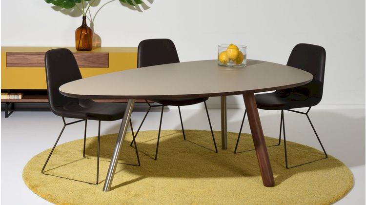 Castelijn Circlips Eettafel