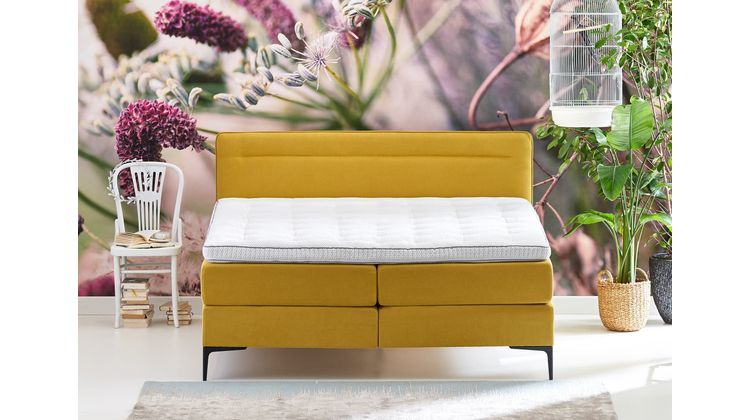 Cinderella Tender Boxspring