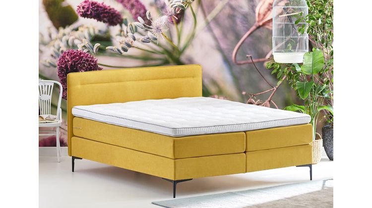 Cinderella Tender Boxspring