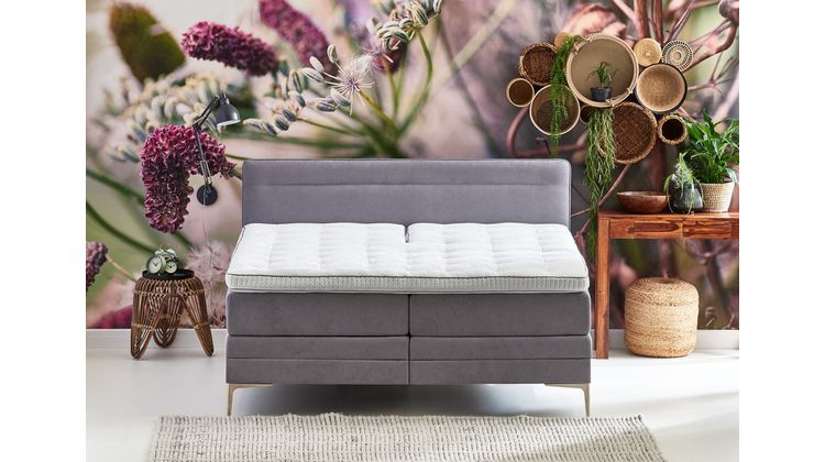 Cinderella Tender Boxspring