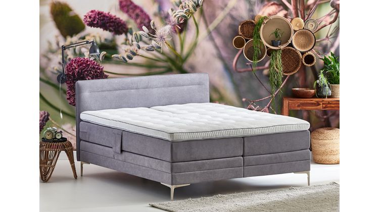 Cinderella Tender Boxspring