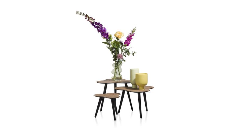 COCO maison Cas Bijzettafelset