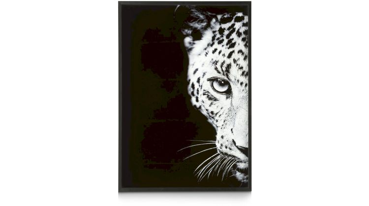 COCO maison Cheetah Schilderij