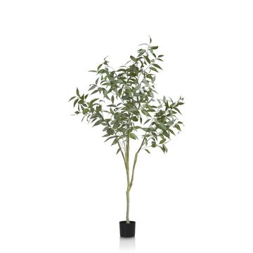 COCO maison Eucalypthus Tree Plant