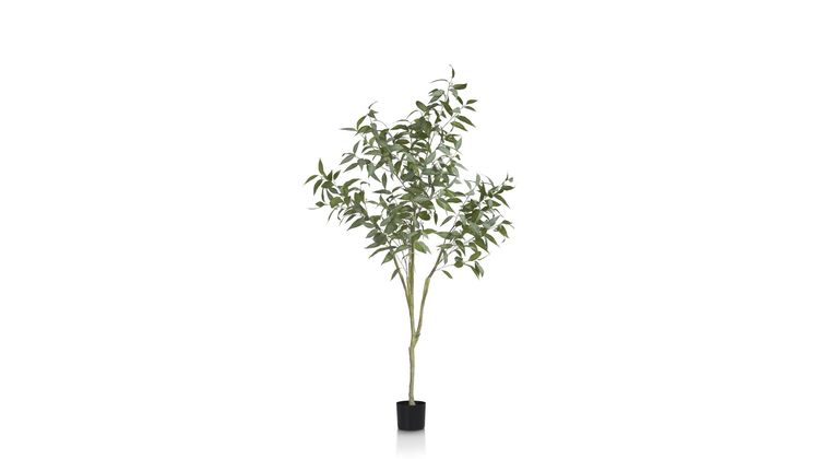 COCO maison Eucalypthus Tree Plant