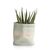 COCO maison Lona Mand MINT