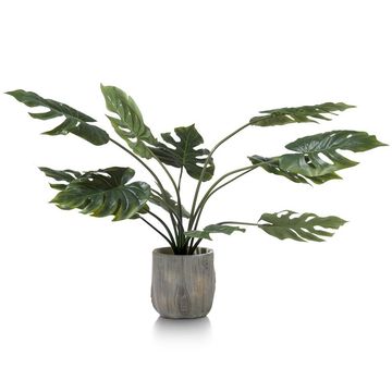 COCO maison Monstera Plant