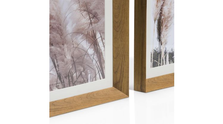 COCO maison Pampas Set Van 2 Schilderij