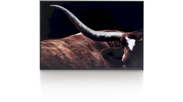 COCO maison Rodeo Schilderij