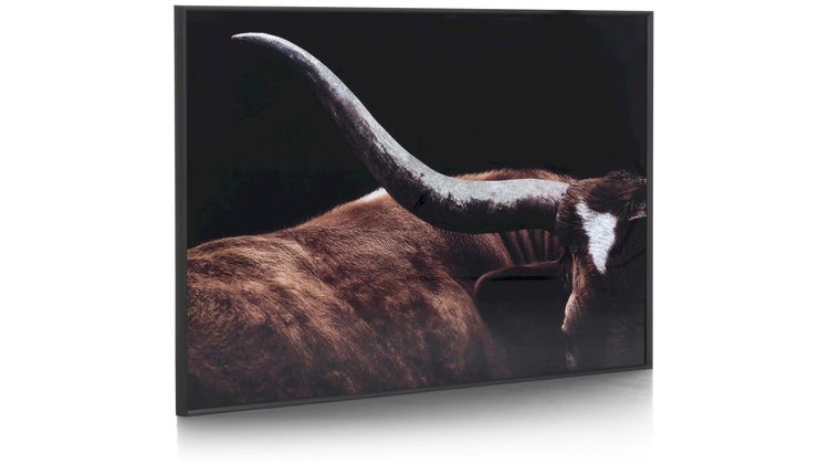 COCO maison Rodeo Schilderij