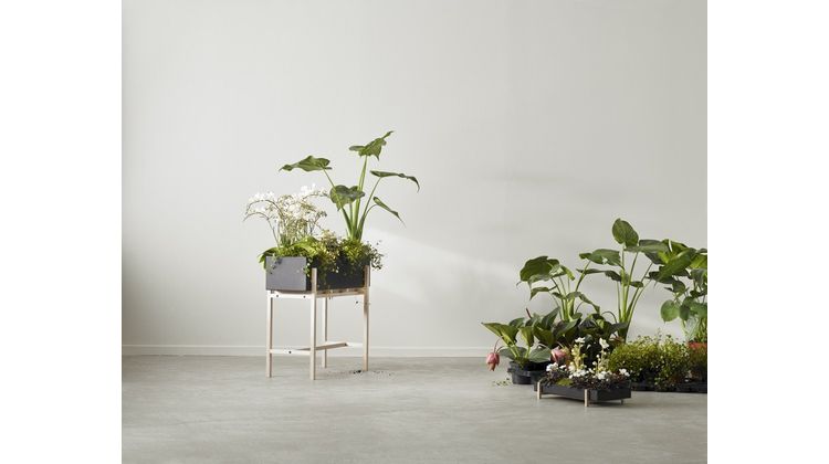 Design House Stockholm Flower Tray