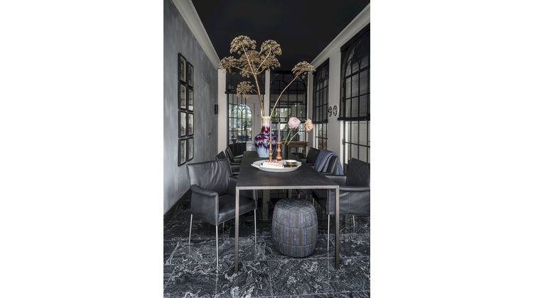 Design on Stock Gola Eetkamerstoel