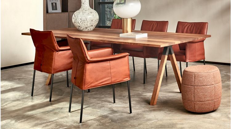Design on Stock Gola Eetkamerstoel