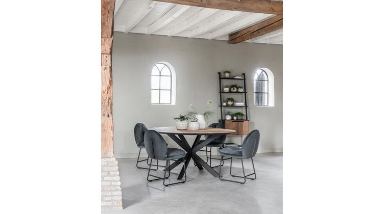 DTP Home Cosmo Wandrek