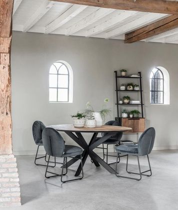 DTP Home Cosmo Wandrek