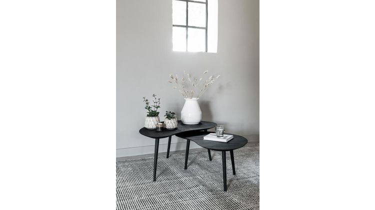 DTP Home Organus Salontafelset