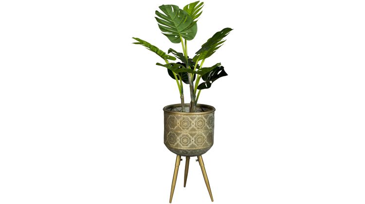 Dutchbone Botanique Planthouder