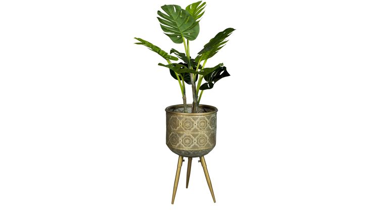 Dutchbone Botanique Planthouder