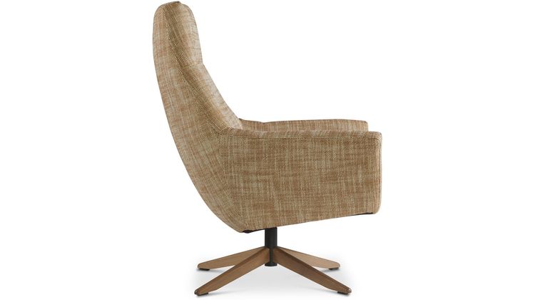 Dyyk Julius Draaifauteuil
