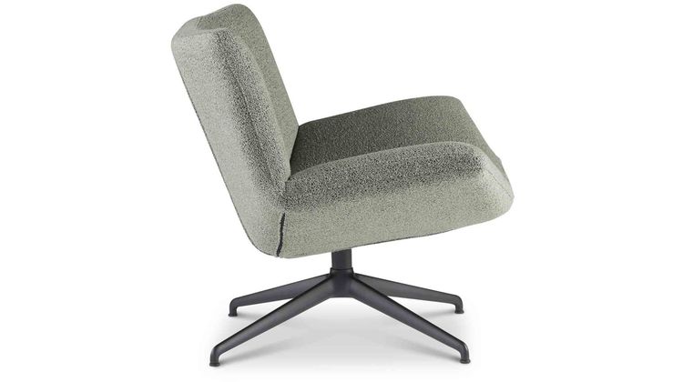 Eijerkamp Collectie Aiden Fauteuil