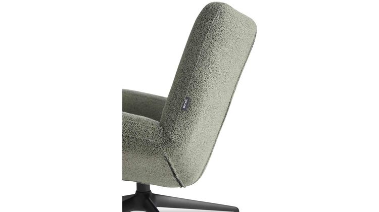 Eijerkamp Collectie Aiden Fauteuil