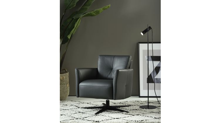 Eijerkamp Collectie Alva Fauteuil