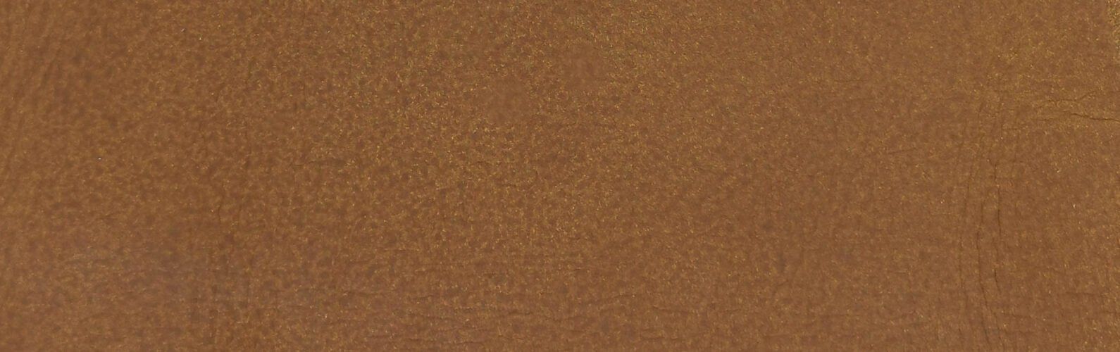 Eijerkamp Collectie Candor Fauteuil