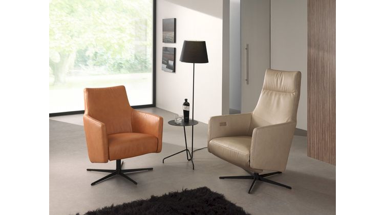 Eijerkamp Collectie Equipe Fauteuil