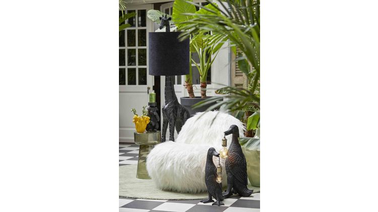 Eijerkamp Collectie Gumaca Fauteuil