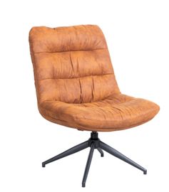 Eijerkamp Collectie James Fauteuil