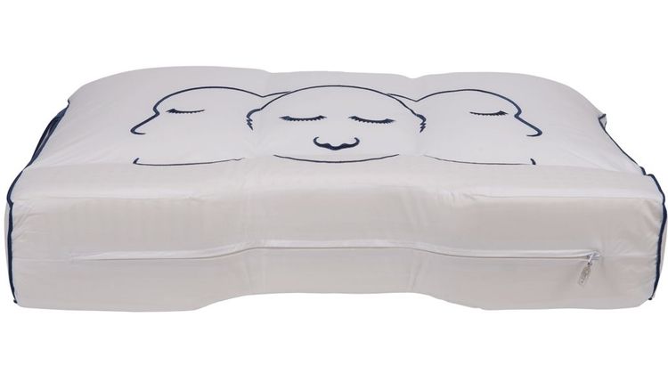 Eijerkamp Collectie Silvana Support Fluorine Hoofdkussen