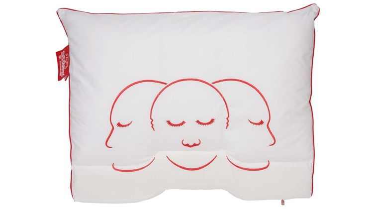 Eijerkamp Collectie Silvana Support Grenat Hoofdkussen