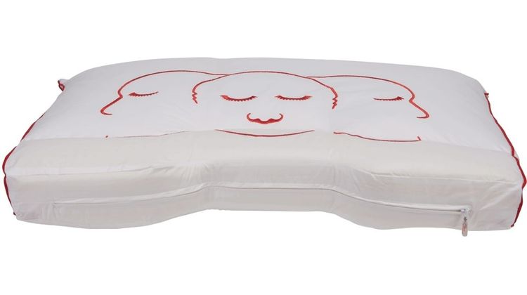 Eijerkamp Collectie Silvana Support Grenat Hoofdkussen