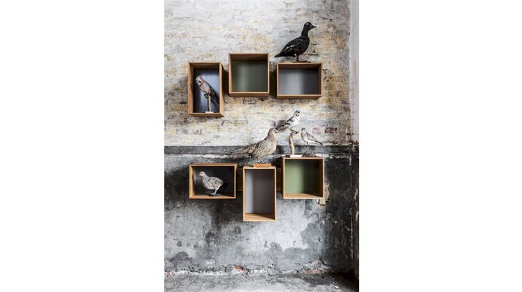 Eijerkamp Collectie SJ Boekenkast