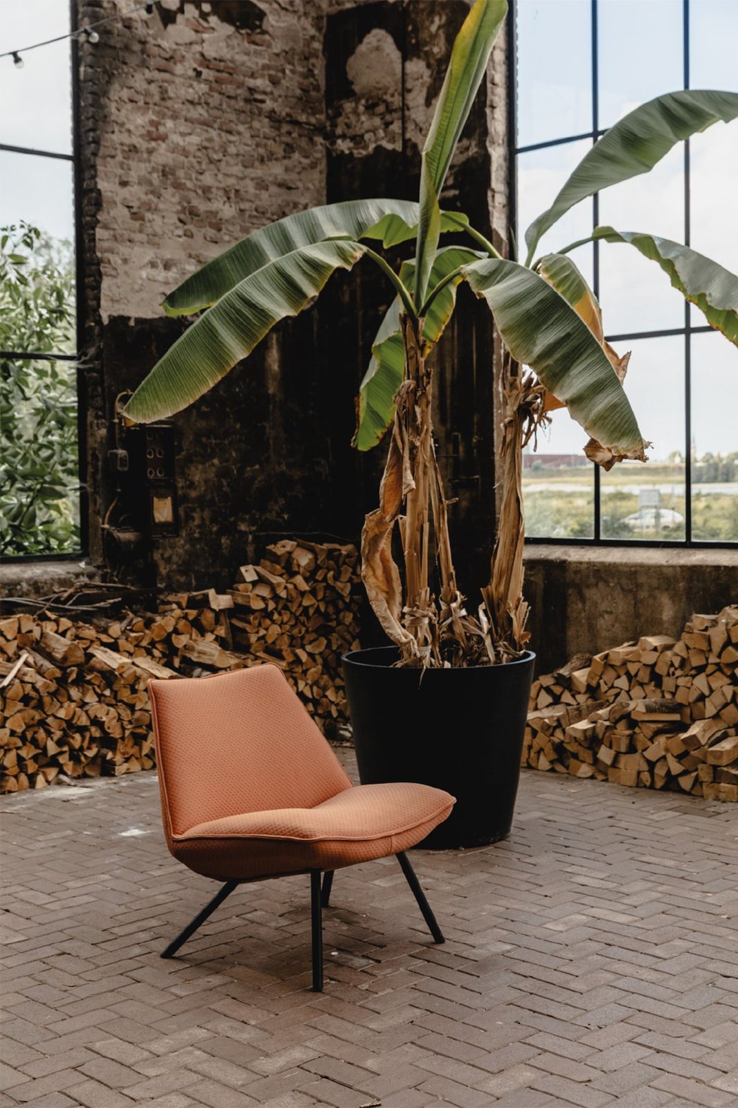 Eijerkamp Collectie Sunny Fauteuil