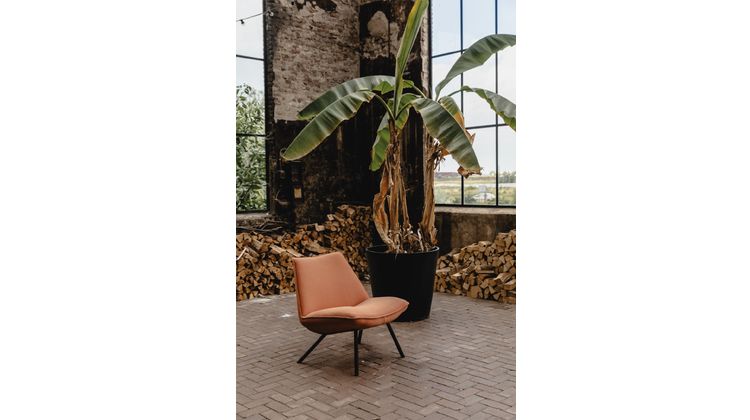 Eijerkamp Collectie Sunny Fauteuil