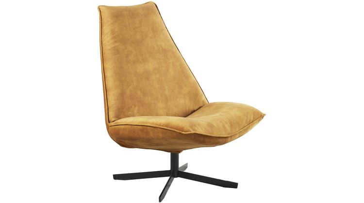 Eijerkamp Collectie Sunny Fauteuil