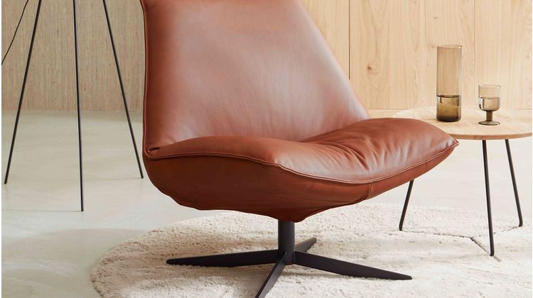 Eijerkamp Collectie Sunny Leer Fauteuil