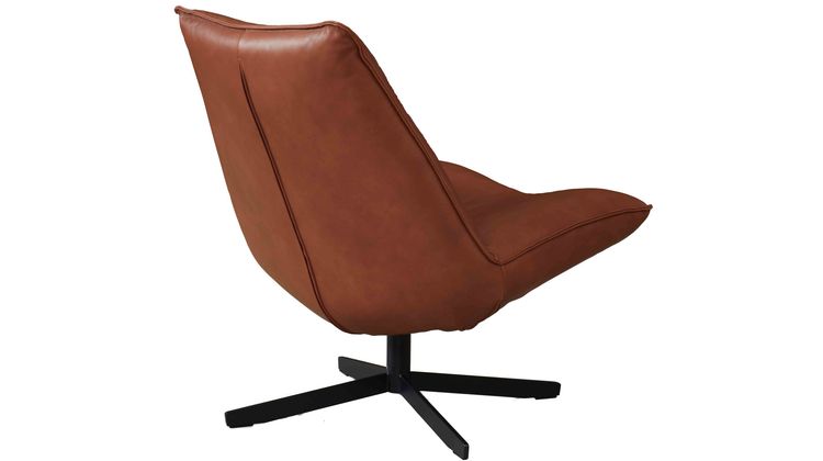 Eijerkamp Collectie Sunny Leer Fauteuil