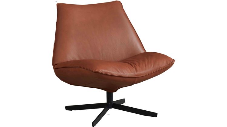 Eijerkamp Collectie Sunny Leer Fauteuil
