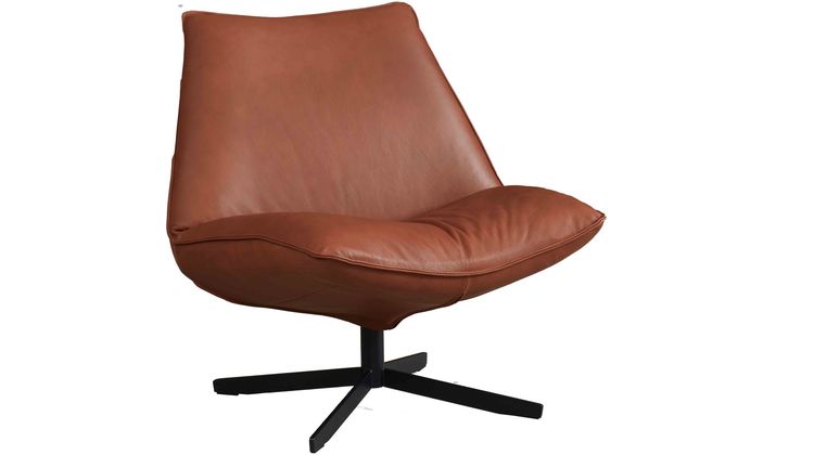 Eijerkamp Collectie Sunny Leer Fauteuil
