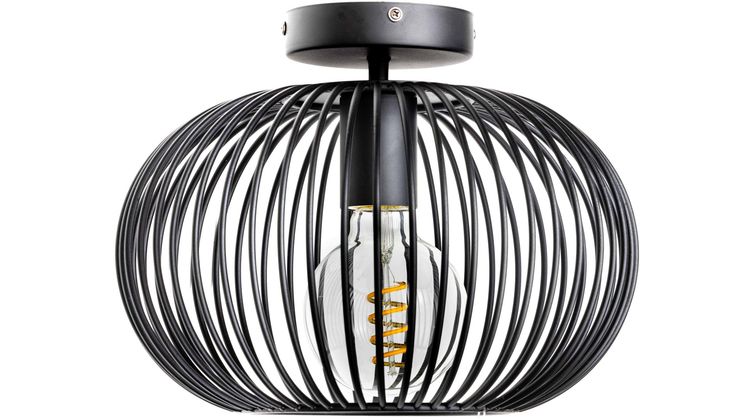 Eijerkamp Collectie Wire 2.0 Plafondlamp