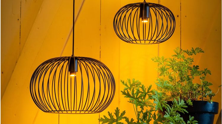 Eijerkamp Collectie Wire 2.0 Plafondlamp