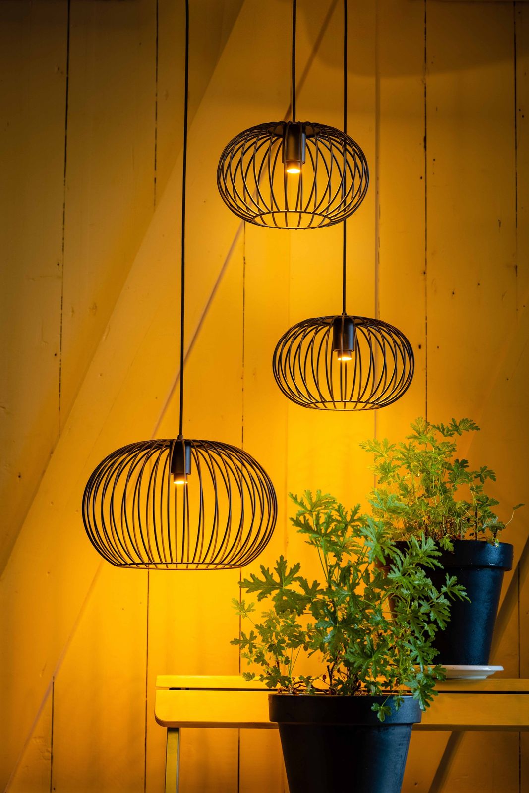 Eijerkamp Collectie Wire 2.0 Plafondlamp