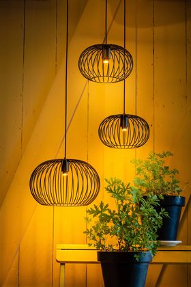 Eijerkamp Collectie Wire 2.0 Plafondlamp